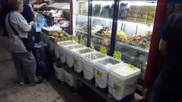 Así se asoman los costos para las hallacas a dos meses de la Navidad 2023 (+ Montos)