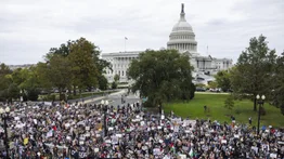 Arrestan a cientos de manifestantes pro-Palestina en el Capitolio