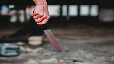 Su sobrino lo mató a puñaladas durante una reunión