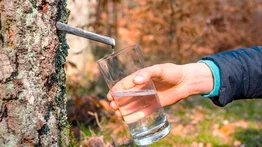 Ingiere este tipo de agua y tu cuerpo te lo agradecerá