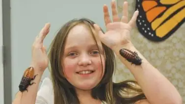 Adolescente colecciona más de 4.000 cucarachas vivas Adolescente colecciona más de 4.000 cucarachas vivas