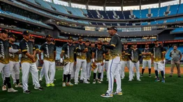 Sepa cuánto costarán las entradas para ver a los Leones del Caracas