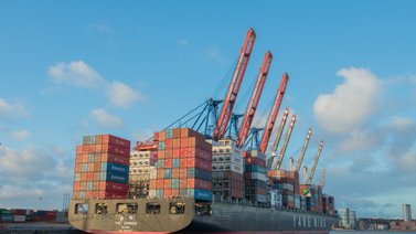 Estos son los requisitos para tramitar el certificado de libre venta para alimentos