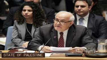 Palestina pide un alto el fuego en la ONU