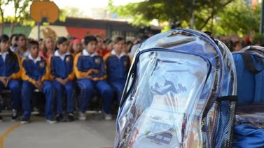 Morrales trasparentes: ¿Opcionales u obligatorios? Esta es la verdadera norma