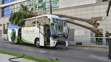 Fallecen dos jóvenes luego de ser arrollados por un autobús en España