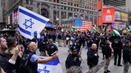 Israelistas y palestinos protagonizan batalla campal en EEUU (+Videos)