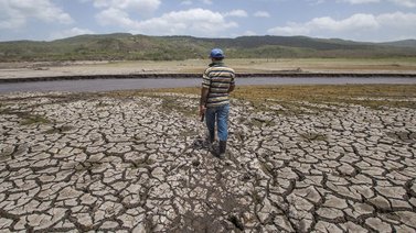 Fenómeno de El Niño podría ser el más intenso en los últimos 73 años