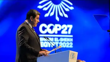 Venezuela reunirá a expertos para trazar ideas contra la crisis climática Venezuela reunirá a expertos para trazar ideas contra la crisis climática