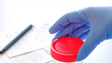 Esperma: mejora su calidad para evitar infertilidad Esperma: mejora su calidad para evitar infertilidad