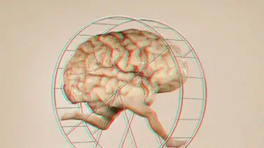 ¿Muchos pensamientos a la vez? Puedes sufrir de colapso mental ¿Muchos pensamientos a la vez? Puedes sufrir de colapso mental