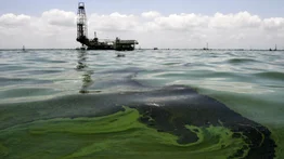 ¿Se acabó la filtración de petróleo en el Lago de Maracaibo? Esto se sabe