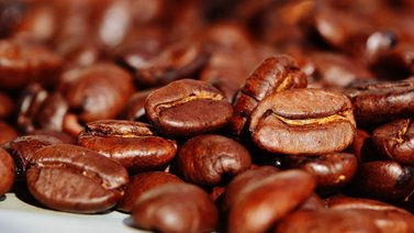Así puedes tramitar la autorización de exportación de café y cacao para tu negocio