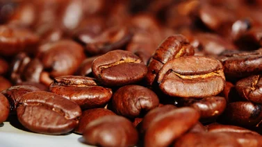 Así puedes tramitar la autorización de exportación de café y cacao para tu negocio