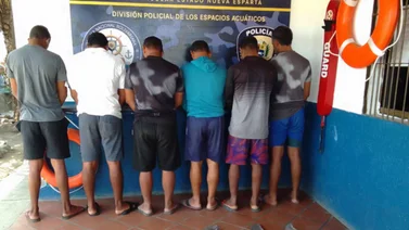 PNB detiene a seis personas por comercializar aletas de tiburón