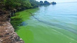 Con esta innovadora iniciativa se busca salvar el lago de Maracaibo