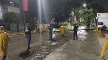 Árbol caído genera fuga de gas en el estado Miranda (+Detalles)