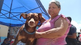 Misión Nevado ofrece atención veterinaria y vacunación en Caracas este #01Oct