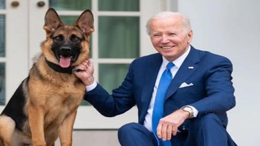 Perro de Biden vuelve a morder a un agente del Servicio Secreto