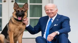 Perro de Biden vuelve a morder a un agente del Servicio Secreto