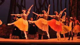 Conozca la programación del Festival Artes Escénica Franco Venezolano