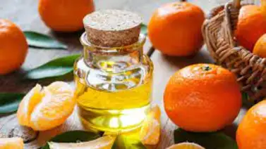 Te decimos como aprovechar las mandarinas Te decimos como aprovechar las mandarinas