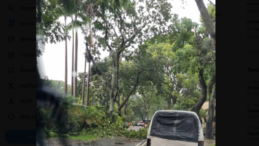 Lluvias causan estragos en Caracas y Miranda