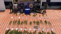 La PNB los arresta por posesión de cannabis sativa