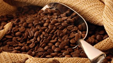 ATENCIÓN Esta es la nueva exigencia de los caficultores