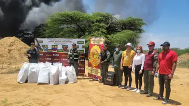 Incineran media tonelada de drogas incautadas en una avioneta Incineran media tonelada de drogas incautadas en una avioneta