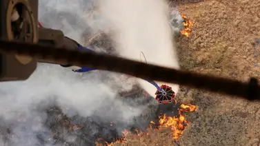 Hawai| Incendios forestales dejan múltiples víctimas y daños materiales Hawai| Incendios forestales dejan múltiples víctimas y daños materiales