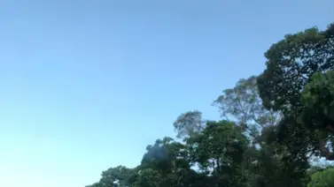 Vecinos de Vista Alegre denuncian "cajón sospechoso" en su comunidad Vecinos de Vista Alegre denuncian "cajón sospechoso" en su comunidad