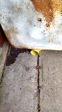 Vecinos de Vista Alegre denuncian "cajón sospechoso" en su comunidad