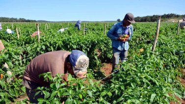 ¿Qué le pide Maduro a los productores venezolanos?