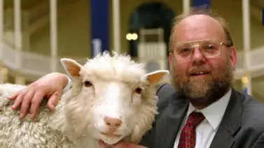 Muere el científico que clonó a la icónica oveja Dolly Muere el científico que clonó a la icónica oveja Dolly
