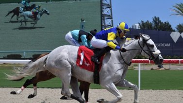 Cipriano Gil logra su primera victoria en Gulfstream Park (+Video)