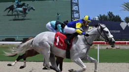 Cipriano Gil logra su primera victoria en Gulfstream Park (+Video)