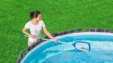 Mantenga la piscina limpia con el tratamiento de choque Mantenga la piscina limpia con el tratamiento de choque
