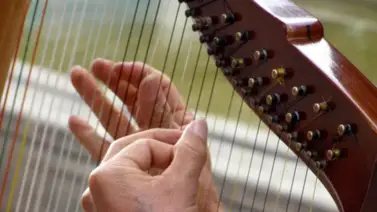 Don Pedro Matos: insigne cantador y arpista Don Pedro Matos: insigne cantador y arpista