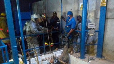 Recuperan dos cadáveres en una fosa de vísceras (+Detalles)