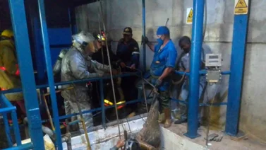 Recuperan dos cadáveres en una fosa de vísceras (+Detalles)