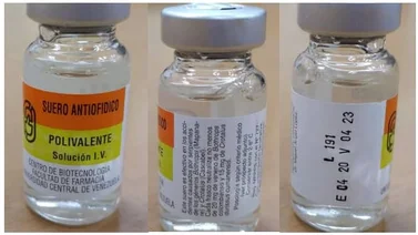 Alerta sanitaria: Advierten distribución de suero antiofídico falso