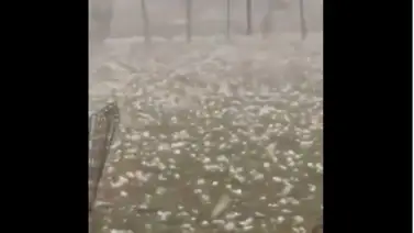 ¡Impresionante! Lluvia de granizos causó serios daños ¡Impresionante! Lluvia de granizos causó serios daños