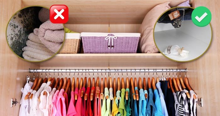 Razones por las que tu closet podría oler mal. ¡Soluciónalo! Razones por las que tu closet podría oler mal. ¡Soluciónalo!