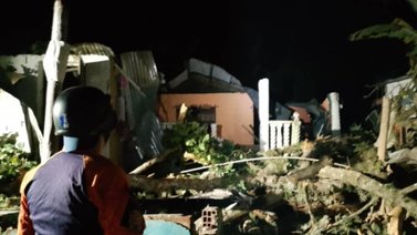 ¡Terrible! Caída de árbol deja cuatro lesionados (+Detalles)