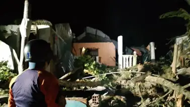 ¡Terrible! Caída de árbol deja cuatro lesionados (+Detalles) ¡Terrible! Caída de árbol deja cuatro lesionados (+Detalles)