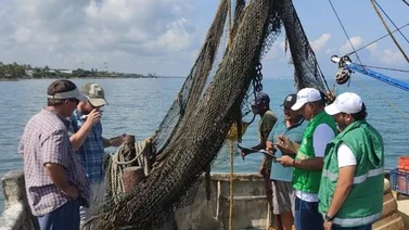 EEUU da el visto bueno a Colombia en materia de exportación (+Detalles)