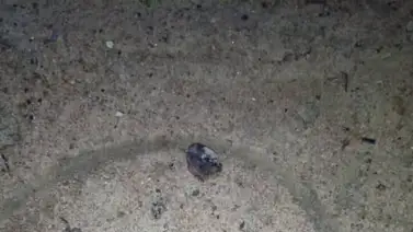 ¡Peligro! Hampones sacaron a un joven de su casa para acribillarlo ¡Peligro! Hampones sacaron a un joven de su casa para acribillarlo