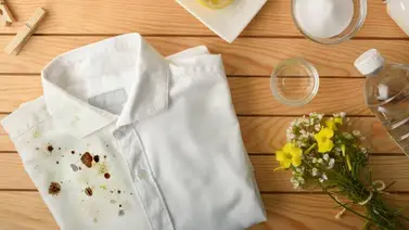 Elimina las manchas en la ropa con estos productos Elimina las manchas en la ropa con estos productos