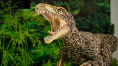 Venezuela tiene su propio dinosaurio: El Tachiraptor